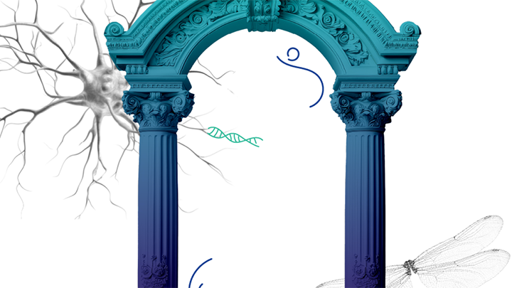 Horizon Europe - Marie Skłodowska-Curie Actions Choose Europe for Science Horizon Europe - Marie Skłodowska-Curie Actions Choose Europe for Science